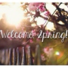Welcome, Spring!