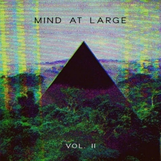 Mind at Large --DJ Set-- Vol. II