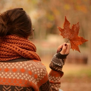 Fall In Love With Fall