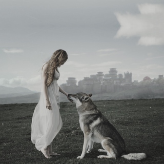 girls who run with wolves