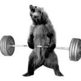 bear strength x100