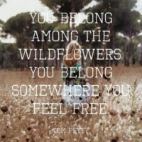 You belong somewhere you feel free