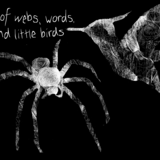 of webs, words, and little birds