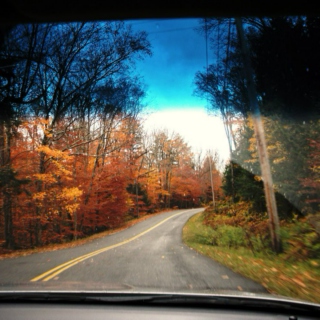 Fall Drive