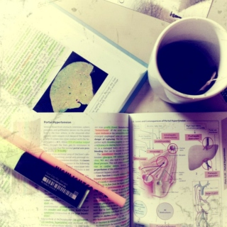 Study, Study, Study