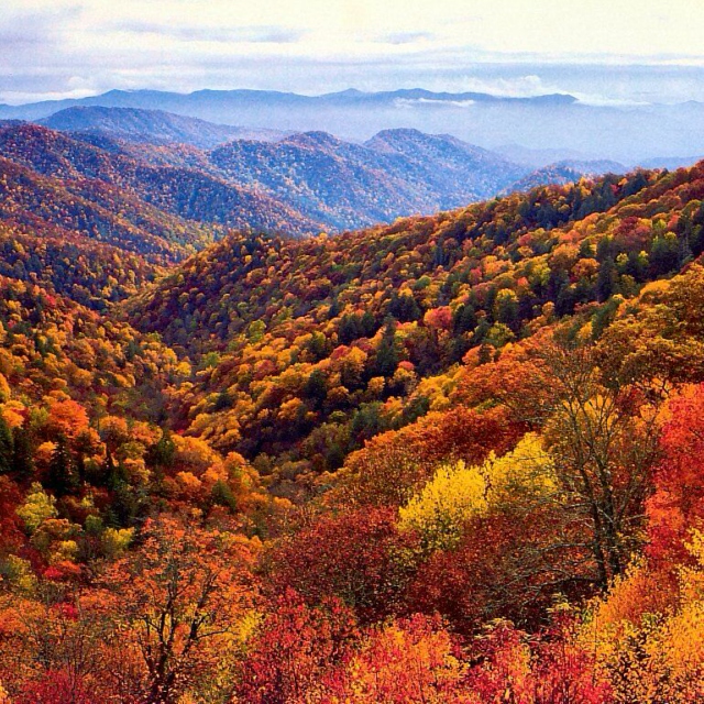 Fall in the Mountains