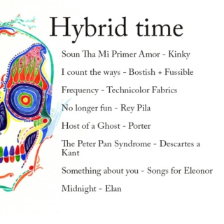 Hybrid times
