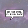 Cuz I'm Punk Rock
