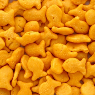 Goldfish™