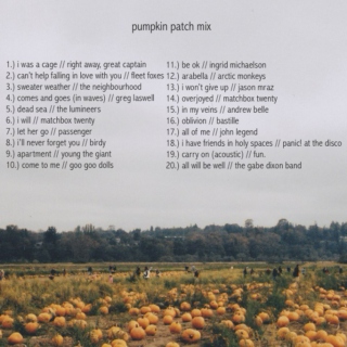 pumpkin patch mix