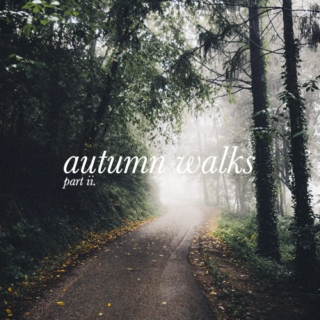 autumn walks (pt. 2)