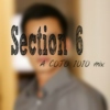Section 6