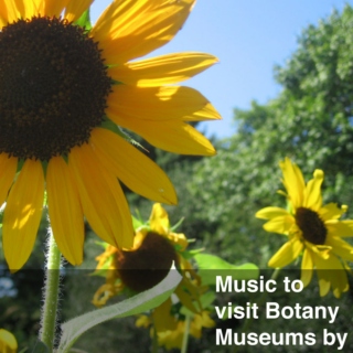 Music to visit Botany Museums by