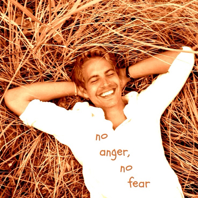 no anger, no fear