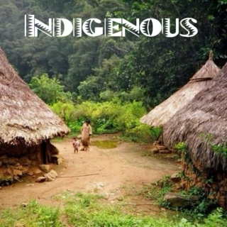 Indigenous 