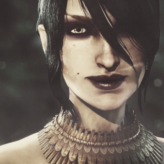 We will face the future together (Morrigan Warden)