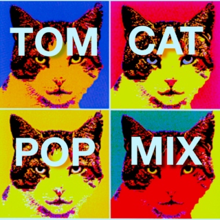 TomCat Pop Mix, Vol. 1 
