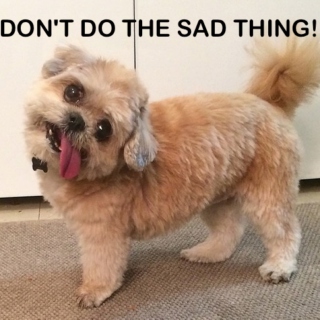 DON'T DO THE SAD THING