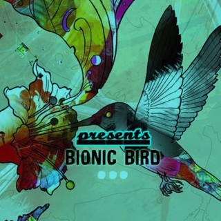 The Bionic Bird Sessions (1)