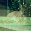 Wild Ones (Kat Lowry)