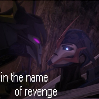 In the Name of Revenge