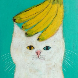 Banana On a Cat