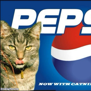 My Pussy Tastes Like Pepsi Cola