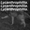 Lycanthrophillia.