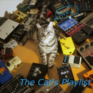 The Cat's Playlist