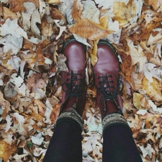 Autumn Is Falling 
