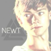 △ newt △