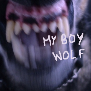 my boy wolf