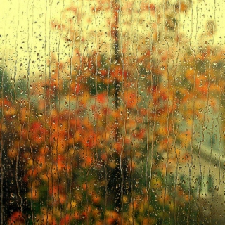cozy, rainy fall day