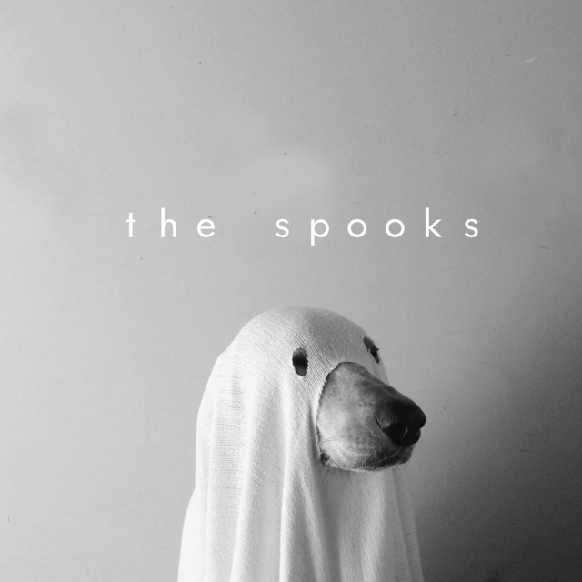 the spooks 