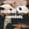 Everybody needs somebody to love