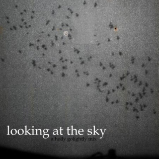 looking at the sky