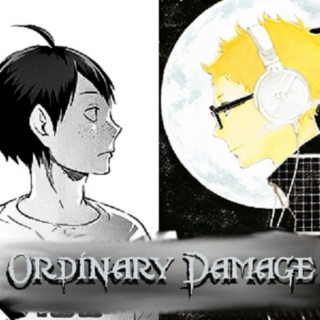 Ordinary Damage