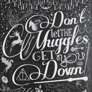 Don't let the muggles get you down
