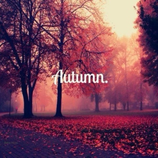 I fell in love with fall
