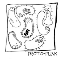 Proto-Punk