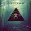 Mind at Large --DJ Set-- Vol. V