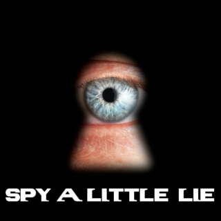 Spy A Little Lie