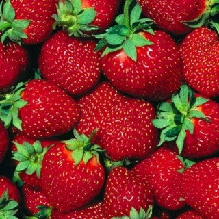 ☆ strawberry avalanche ☆