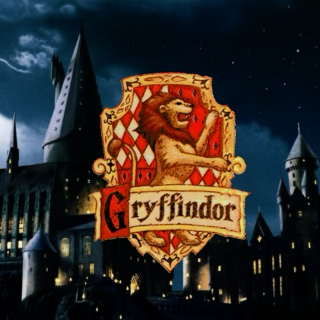 Gryffindor- Harry's Generation
