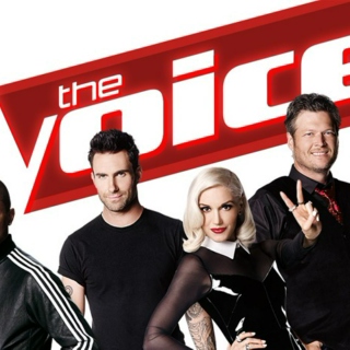 The Voice 2014 Favs 