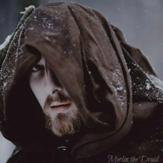 Merlin the Druid