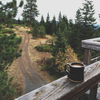 coffee in the woods