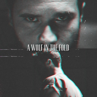 a wolf in the fold