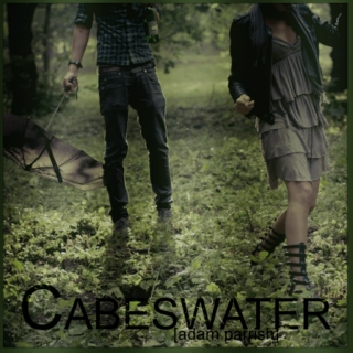 cabeswater [adam parrish][the raven cycle]