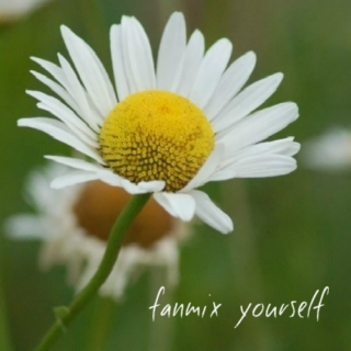 Fanmix yourself 